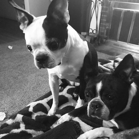 Meet your Posher, Heather - Picture 1 of 1